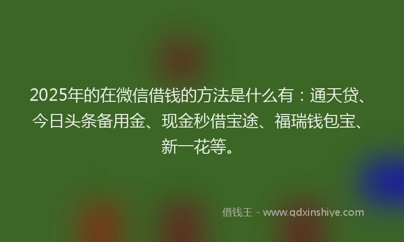 2025年的在微信借钱的方法是什么有：通天贷、今日头条备用金、现金秒借宝途、福瑞钱包宝、新一花等。