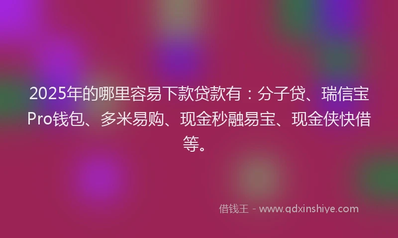 2025年的哪里容易下款贷款有：分子贷、瑞信宝Pro钱包、多米易购、现金秒融易宝、现金侠快借等。