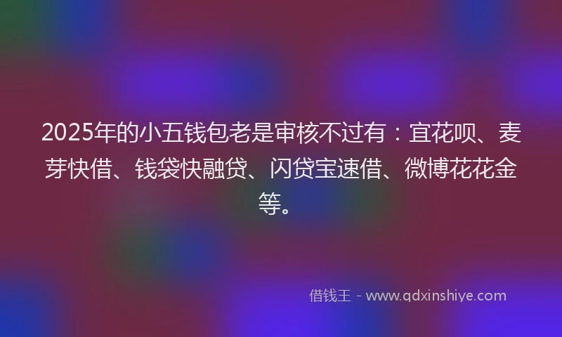 2025年的小五钱包老是审核不过有：宜花呗、麦芽快借、钱袋快融贷、闪贷宝速借、微博花花金等。
