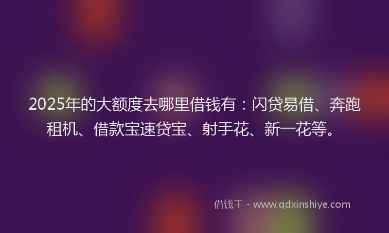 2025年的大额度去哪里借钱有：闪贷易借、奔跑租机、借款宝速贷宝、射手花、新一花等。