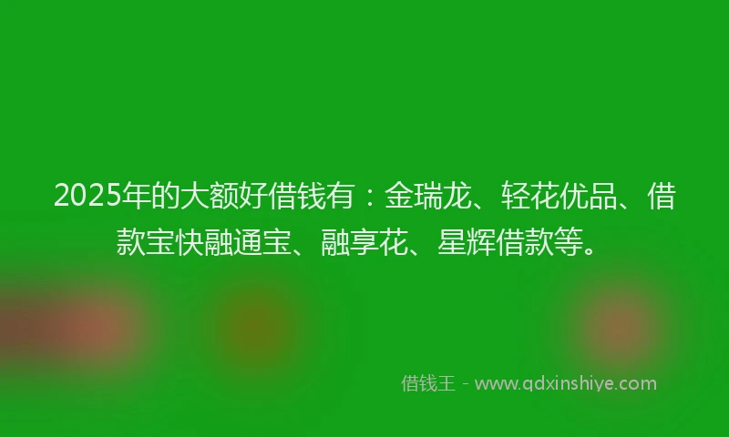2025年的大额好借钱有：金瑞龙、轻花优品、借款宝快融通宝、融享花、星辉借款等。