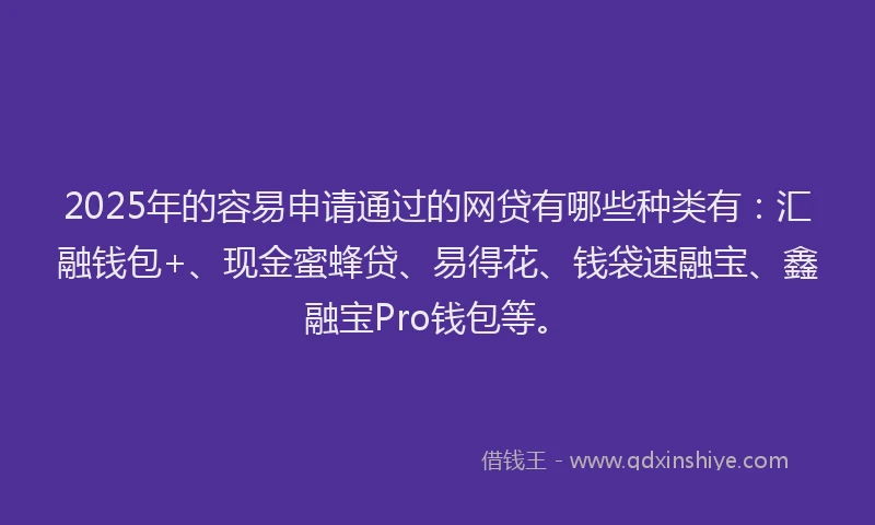 2025年的容易申请通过的网贷有哪些种类有：汇融钱包+、现金蜜蜂贷、易得花、钱袋速融宝、鑫融宝Pro钱包等。