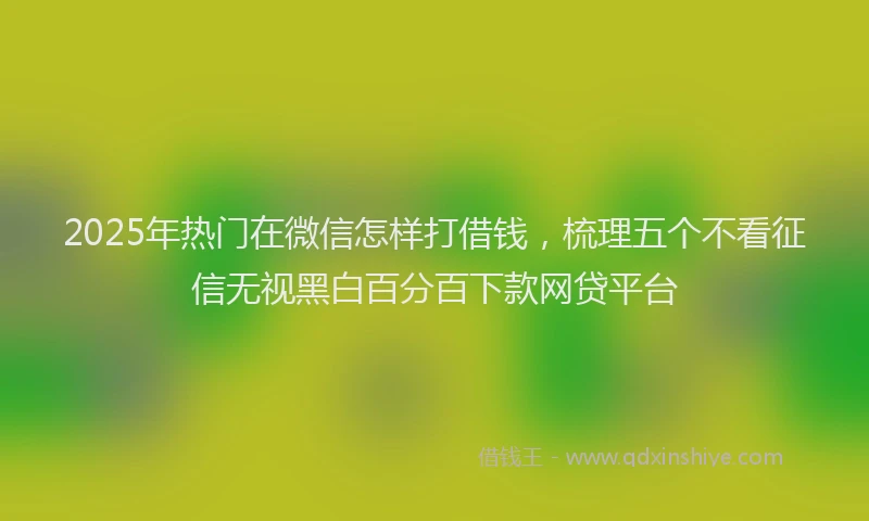 2025年热门在微信怎样打借钱，梳理五个不看征信无视黑白百分百下款网贷平台