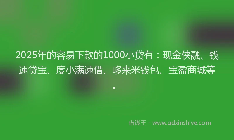 2025年的容易下款的1000小贷有：现金侠融、钱速贷宝、度小满速借、哆来米钱包、宝盈商城等。