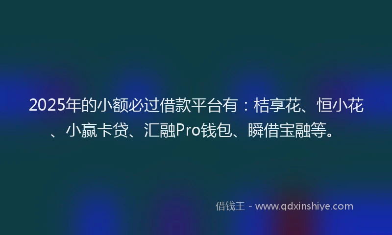 2025年的小额必过借款平台有：桔享花、恒小花、小赢卡贷、汇融Pro钱包、瞬借宝融等。