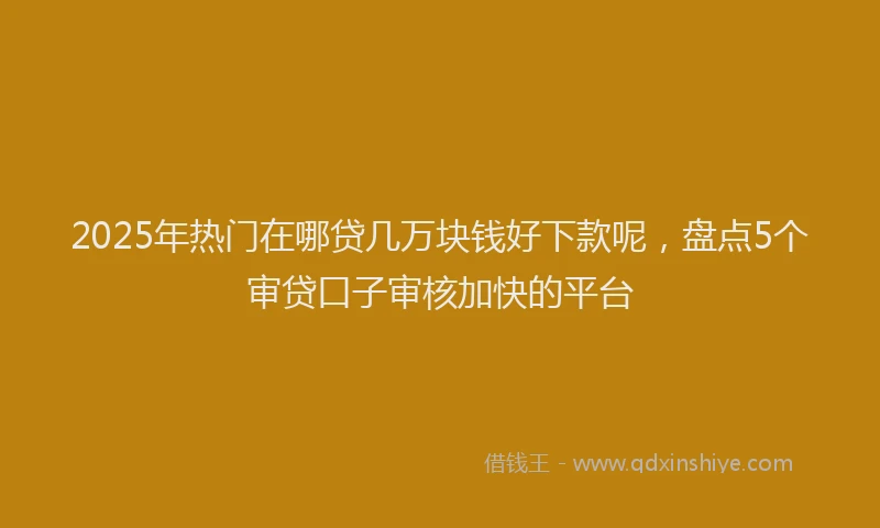 2025年热门在哪贷几万块钱好下款呢，盘点5个审贷口子审核加快的平台