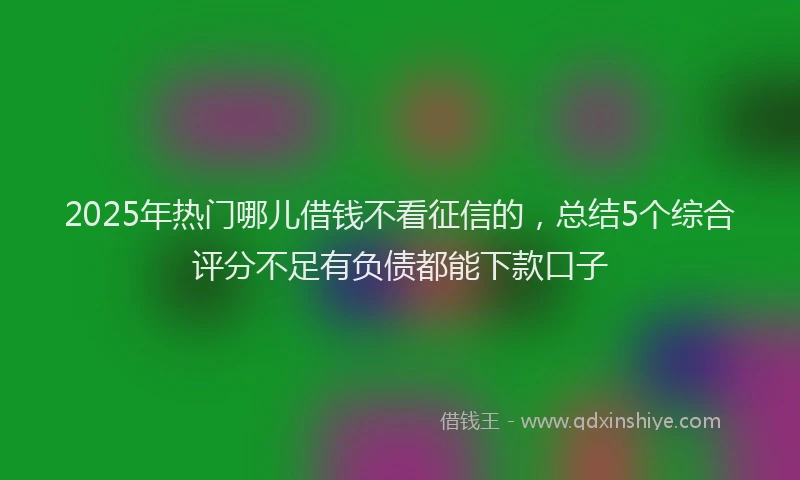 2025年热门哪儿借钱不看征信的，总结5个综合评分不足有负债都能下款口子