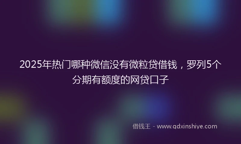 2025年热门哪种微信没有微粒贷借钱，罗列5个分期有额度的网贷口子