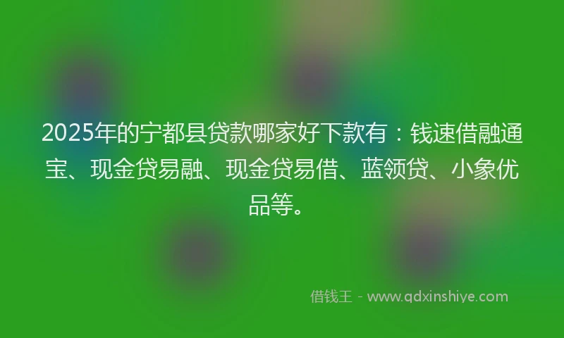 2025年的宁都县贷款哪家好下款有：钱速借融通宝、现金贷易融、现金贷易借、蓝领贷、小象优品等。