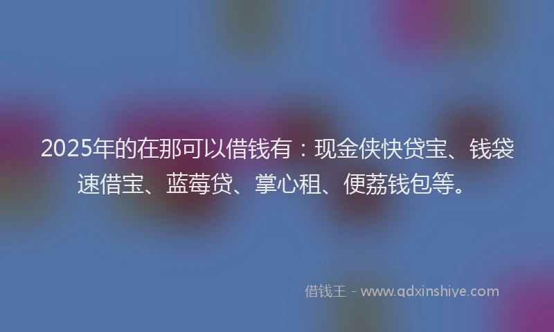 2025年的在那可以借钱有：现金侠快贷宝、钱袋速借宝、蓝莓贷、掌心租、便荔钱包等。