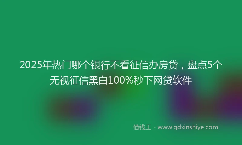 2025年热门哪个银行不看征信办房贷，盘点5个无视征信黑白100%秒下网贷软件