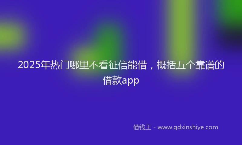 2025年热门哪里不看征信能借，概括五个靠谱的借款app