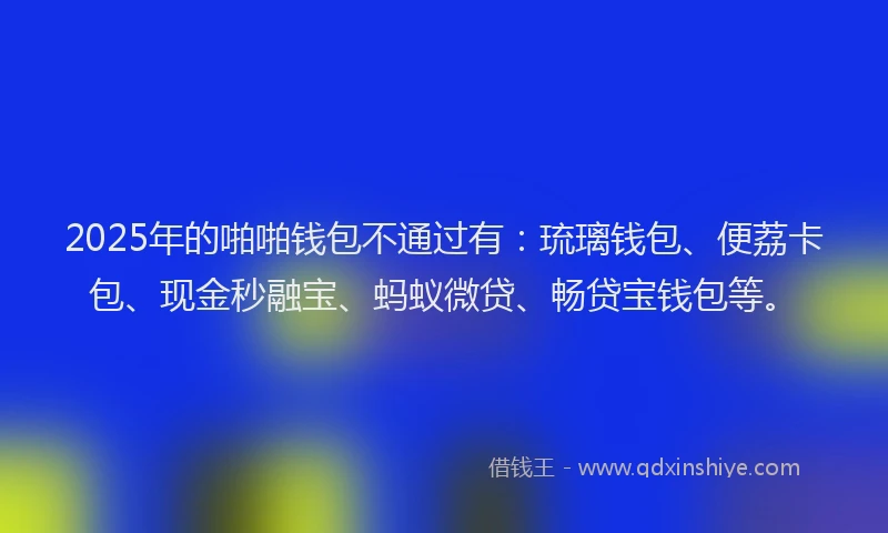 2025年的啪啪钱包不通过有：琉璃钱包、便荔卡包、现金秒融宝、蚂蚁微贷、畅贷宝钱包等。