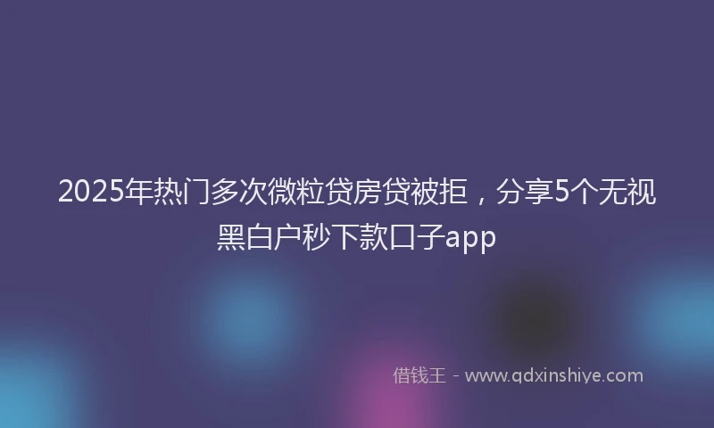 2025年热门多次微粒贷房贷被拒，分享5个无视黑白户秒下款口子app