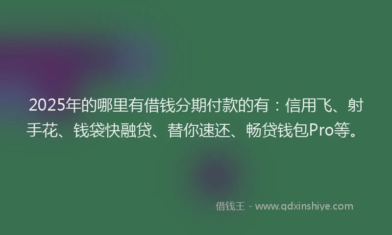 2025年的哪里有借钱分期付款的有：信用飞、射手花、钱袋快融贷、替你速还、畅贷钱包Pro等。