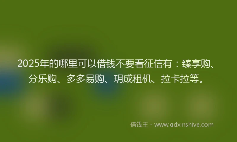 2025年的哪里可以借钱不要看征信有：臻享购、分乐购、多多易购、玥成租机、拉卡拉等。