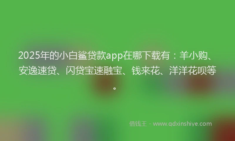 2025年的小白鲨贷款app在哪下载有:羊小购、安逸速贷、闪贷宝速融宝、钱来花、洋洋花呗等。