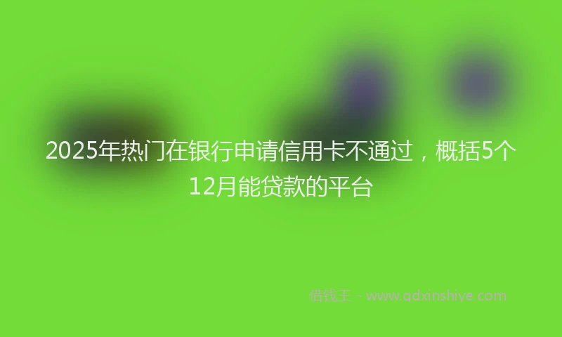 2025年热门在银行申请信用卡不通过，概括5个12月能贷款的平台