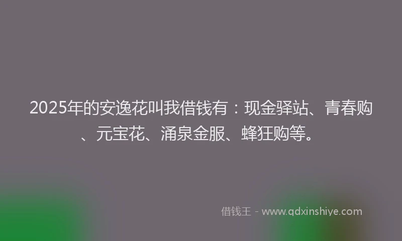 2025年的安逸花叫我借钱有：现金驿站、青春购、元宝花、涌泉金服、蜂狂购等。