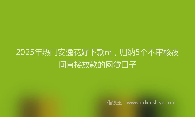 2025年热门安逸花好下款m，归纳5个不审核夜间直接放款的网贷口子