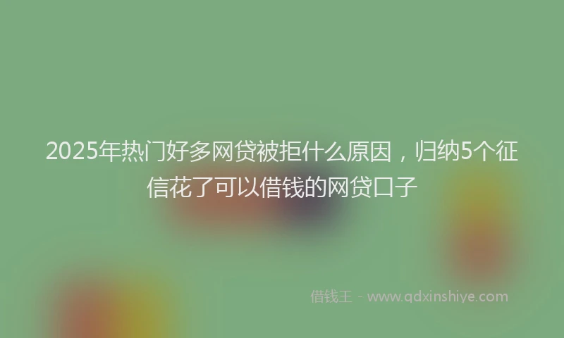 2025年热门好多网贷被拒什么原因，归纳5个征信花了可以借钱的网贷口子