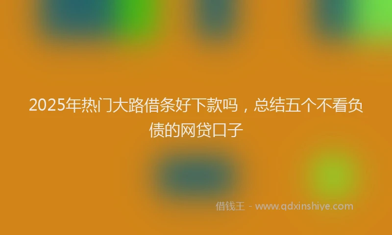 2025年热门大路借条好下款吗，总结五个不看负债的网贷口子
