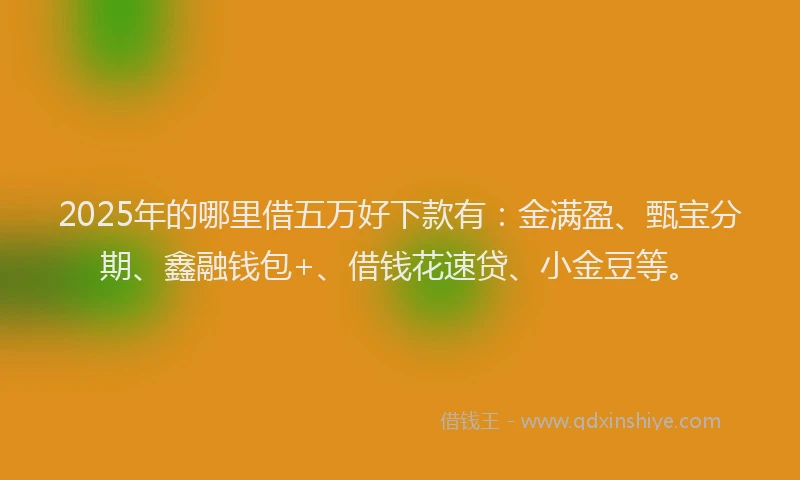 2025年的哪里借五万好下款有：金满盈、甄宝分期、鑫融钱包+、借钱花速贷、小金豆等。