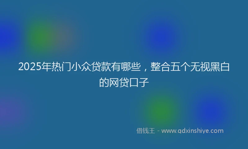 2025年热门小众贷款有哪些，整合五个无视黑白的网贷口子