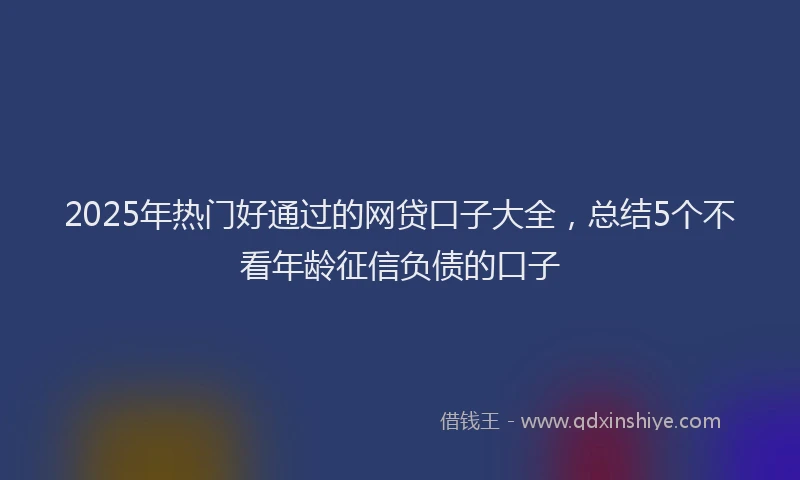 2025年热门好通过的网贷口子大全，总结5个不看年龄征信负债的口子