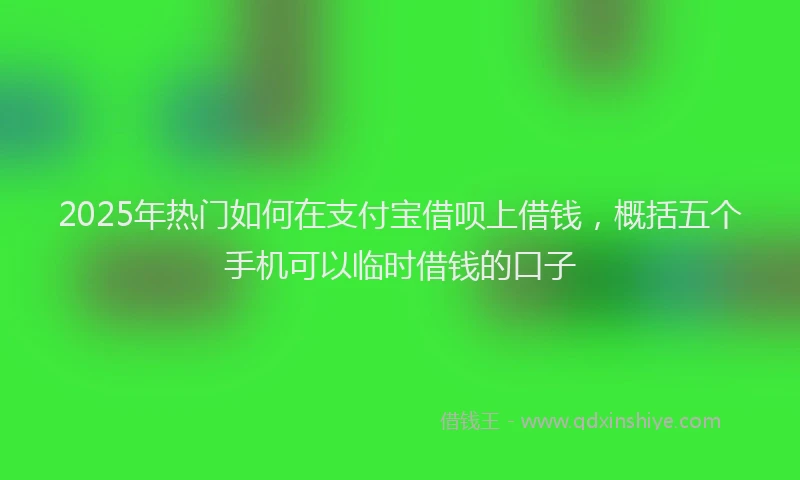 2025年热门如何在支付宝借呗上借钱，概括五个手机可以临时借钱的口子