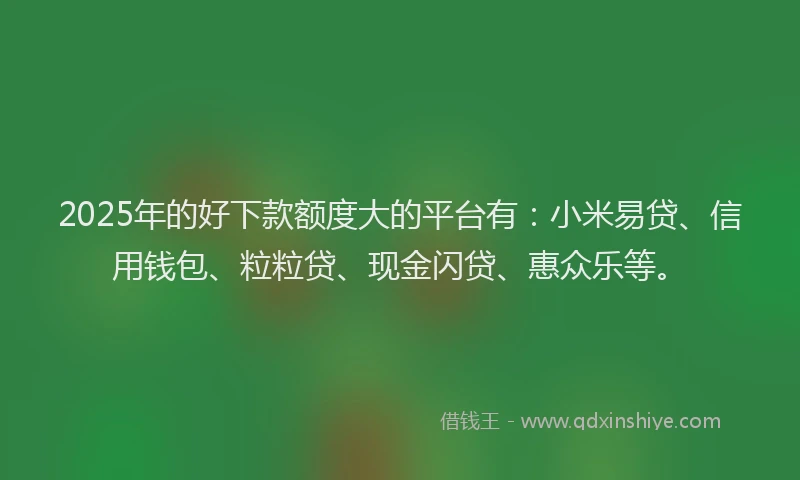 2025年的好下款额度大的平台有：小米易贷、信用钱包、粒粒贷、现金闪贷、惠众乐等。