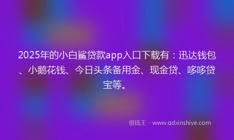2025年的小白鲨贷款app入口下载有：迅达钱包、小鹅花钱、今日头条备用金、现金贷、哆哆贷宝等。