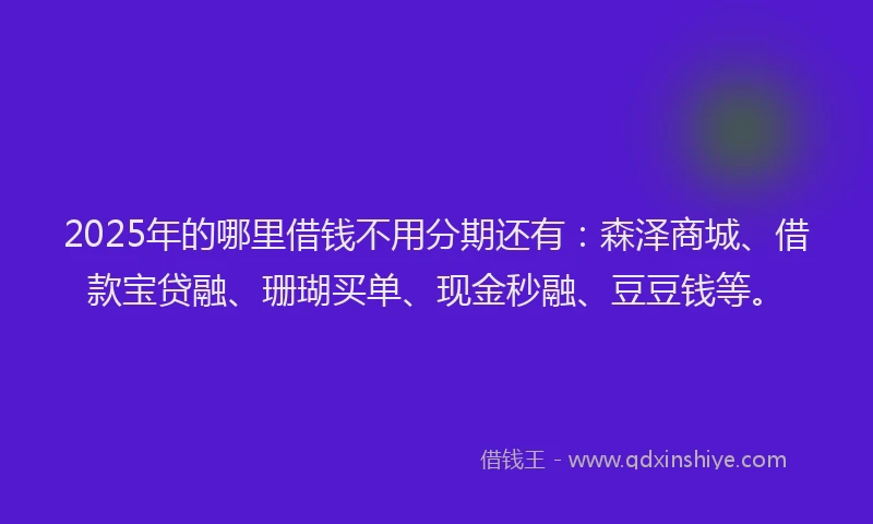 2025年的哪里借钱不用分期还有：森泽商城、借款宝贷融、珊瑚买单、现金秒融、豆豆钱等。