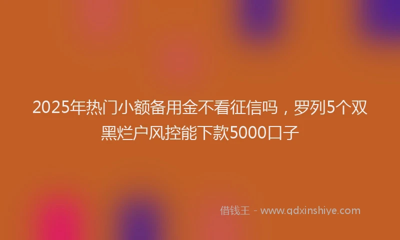 2025年热门小额备用金不看征信吗，罗列5个双黑烂户风控能下款5000口子