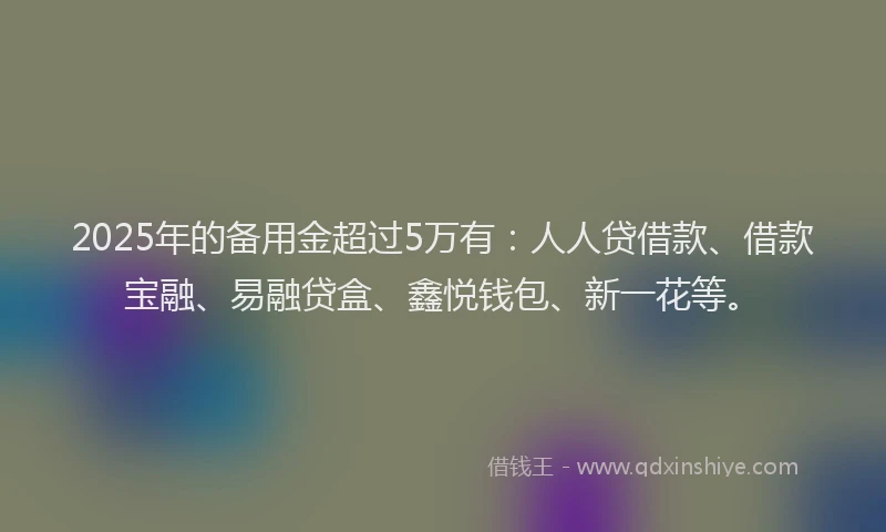 2025年的备用金超过5万有：人人贷借款、借款宝融、易融贷盒、鑫悦钱包、新一花等。