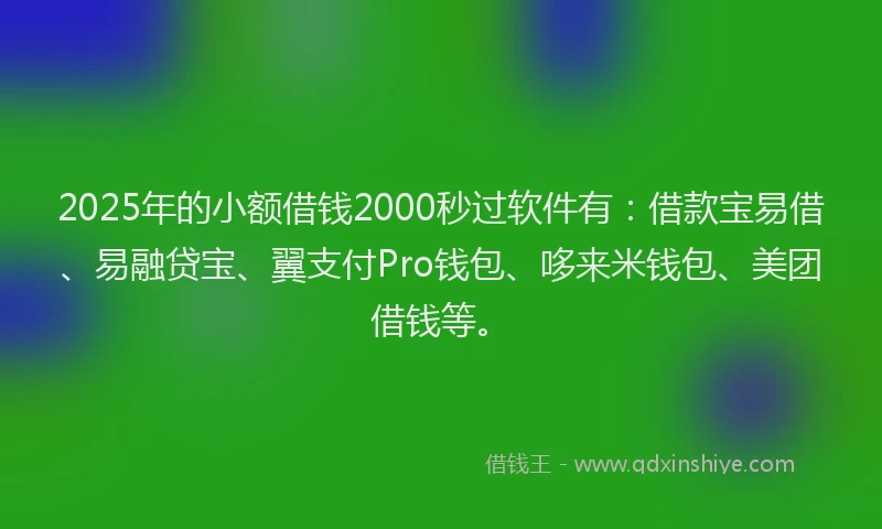 2025年的小额借钱2000秒过软件有：借款宝易借、易融贷宝、翼支付Pro钱包、哆来米钱包、美团借钱等。