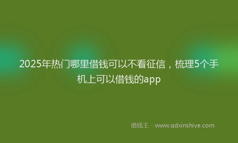 2025年热门哪里借钱可以不看征信，梳理5个手机上可以借钱的app