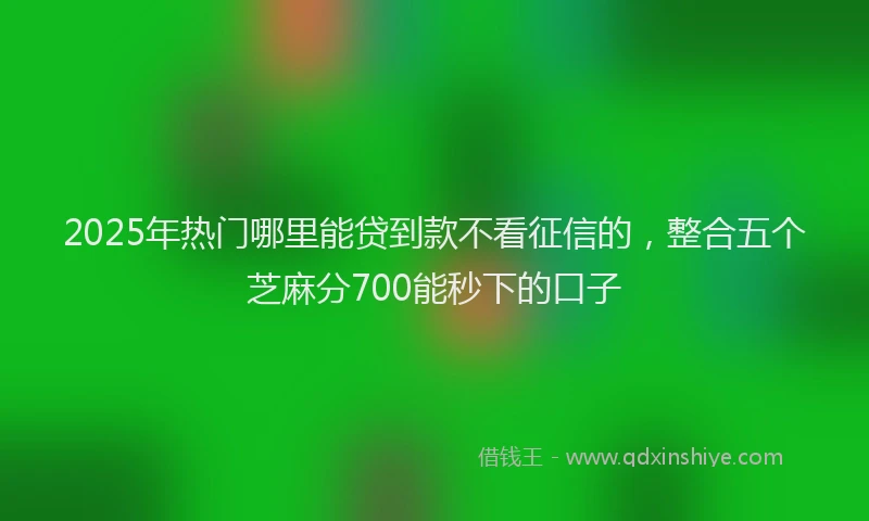 2025年热门哪里能贷到款不看征信的，整合五个芝麻分700能秒下的口子
