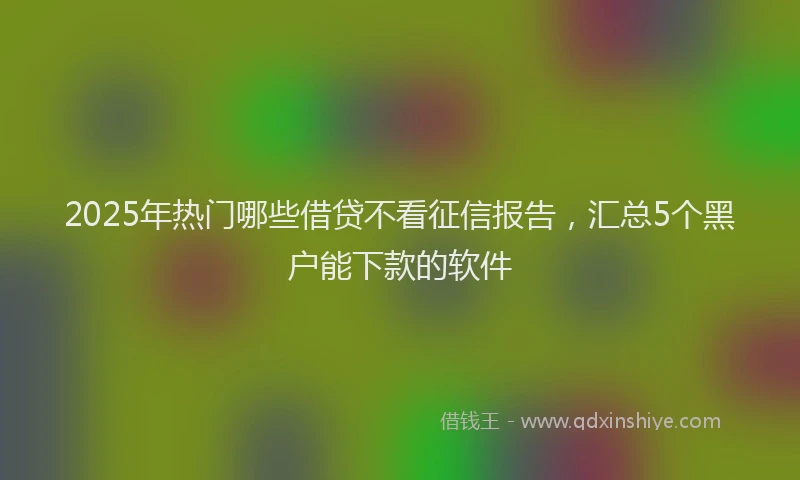 2025年热门哪些借贷不看征信报告，汇总5个黑户能下款的软件