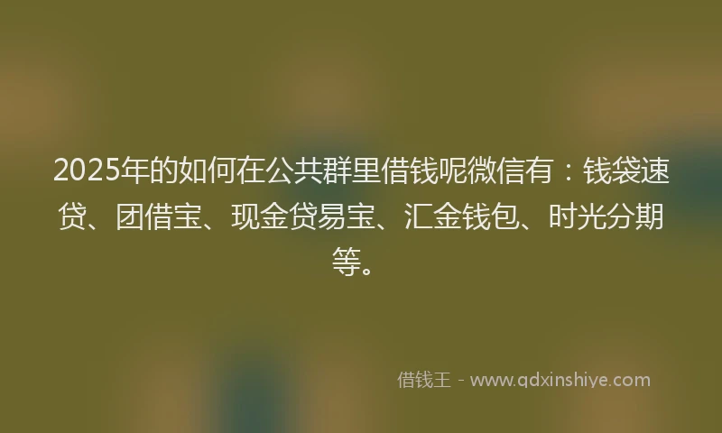 2025年的如何在公共群里借钱呢微信有：钱袋速贷、团借宝、现金贷易宝、汇金钱包、时光分期等。