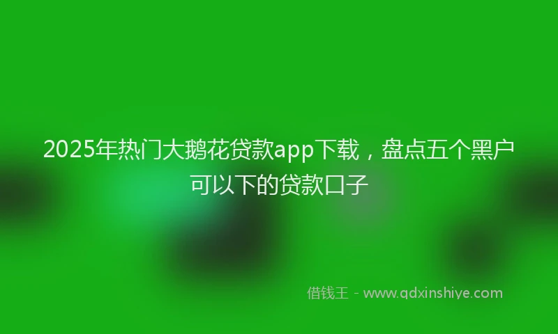 2025年热门大鹅花贷款app下载，盘点五个黑户可以下的贷款口子