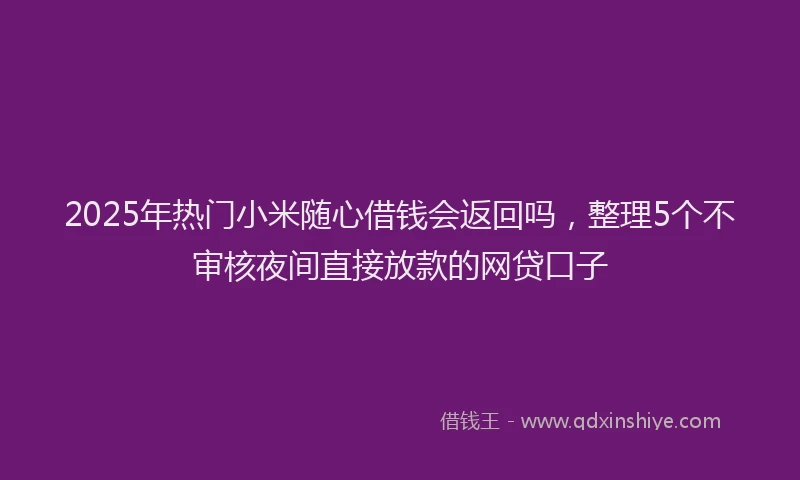 2025年热门小米随心借钱会返回吗，整理5个不审核夜间直接放款的网贷口子