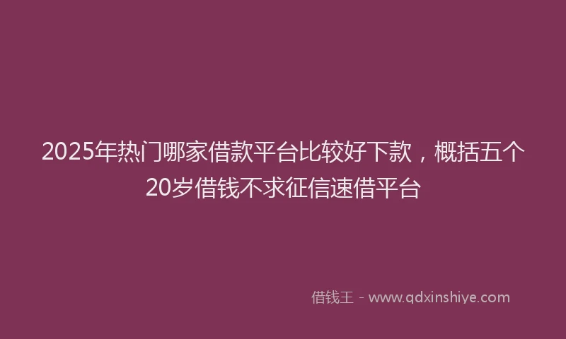 2025年热门哪家借款平台比较好下款，概括五个20岁借钱不求征信速借平台
