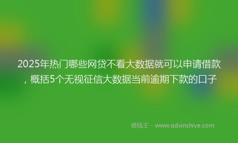 2025年热门哪些网贷不看大数据就可以申请借款，概括5个无视征信大数据当前逾期下款的口子