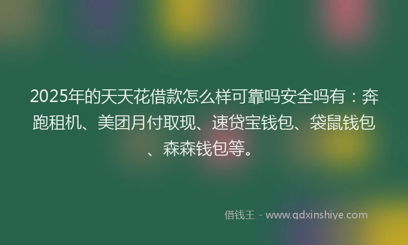 2025年的天天花借款怎么样可靠吗安全吗有：奔跑租机、美团月付取现、速贷宝钱包、袋鼠钱包、森森钱包等。