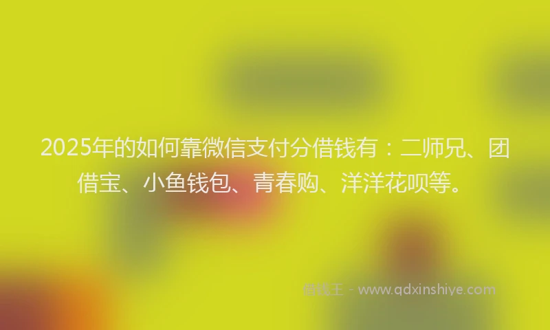 2025年的如何靠微信支付分借钱有：二师兄、团借宝、小鱼钱包、青春购、洋洋花呗等。