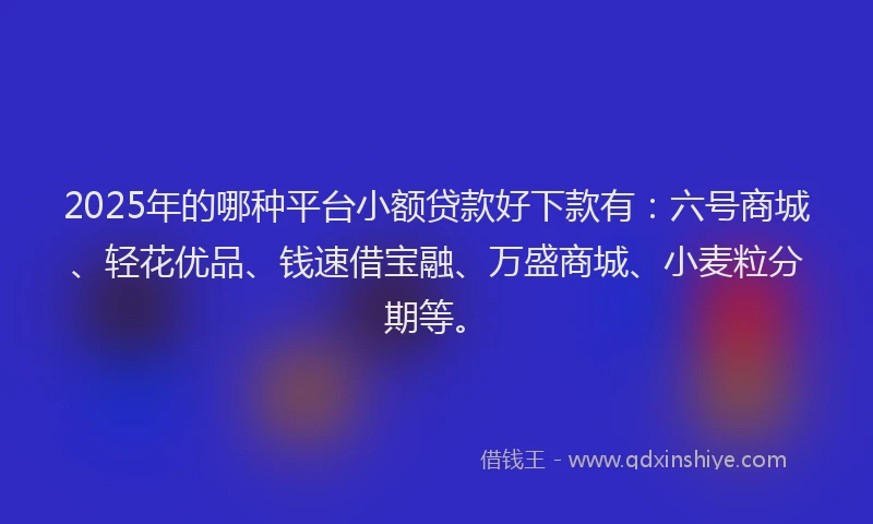 2025年的哪种平台小额贷款好下款有：六号商城、轻花优品、钱速借宝融、万盛商城、小麦粒分期等。