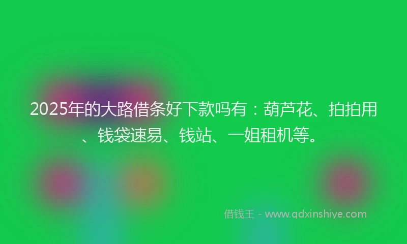 2025年的大路借条好下款吗有：葫芦花、拍拍用、钱袋速易、钱站、一姐租机等。
