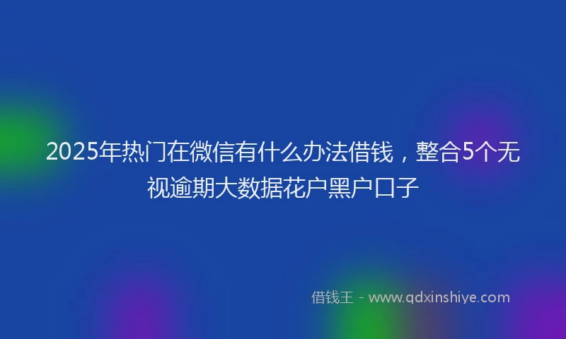 2025年热门在微信有什么办法借钱，整合5个无视逾期大数据花户黑户口子