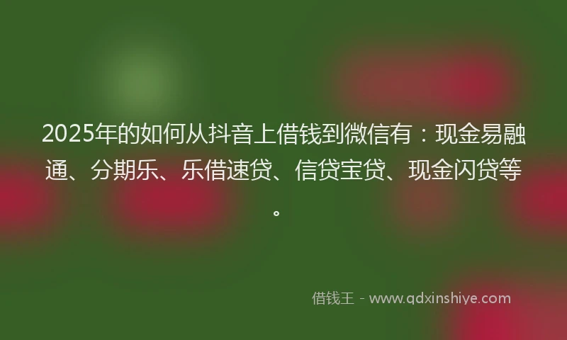 2025年的如何从抖音上借钱到微信有：现金易融通、分期乐、乐借速贷、信贷宝贷、现金闪贷等。